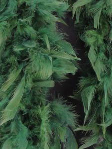 pine green feather