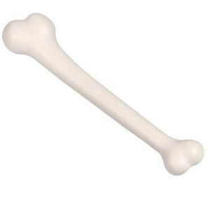 Skeleton Bone Prop