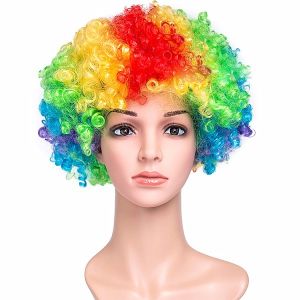Afro Wig Rainbow